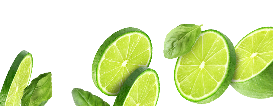 Mad Magic Lime Basil Kombucha Ingredients