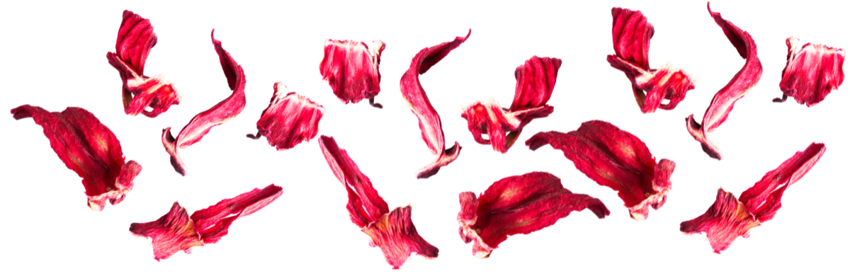 Mad Magic Hibiscus Teanies Kombucha Ingredients